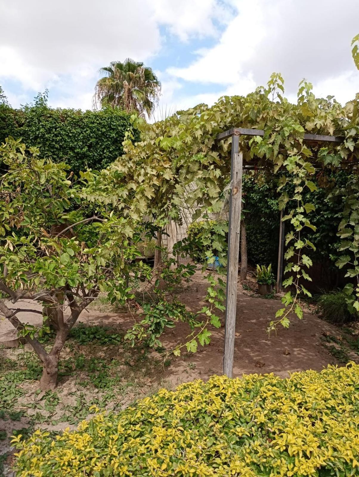 Hgen Rooms & Suites Los Mochis Exteriör bild